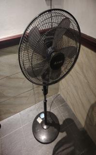 闲置的一支艾美特风扇