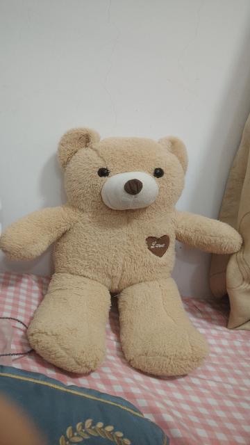 可爱的小布熊玩具