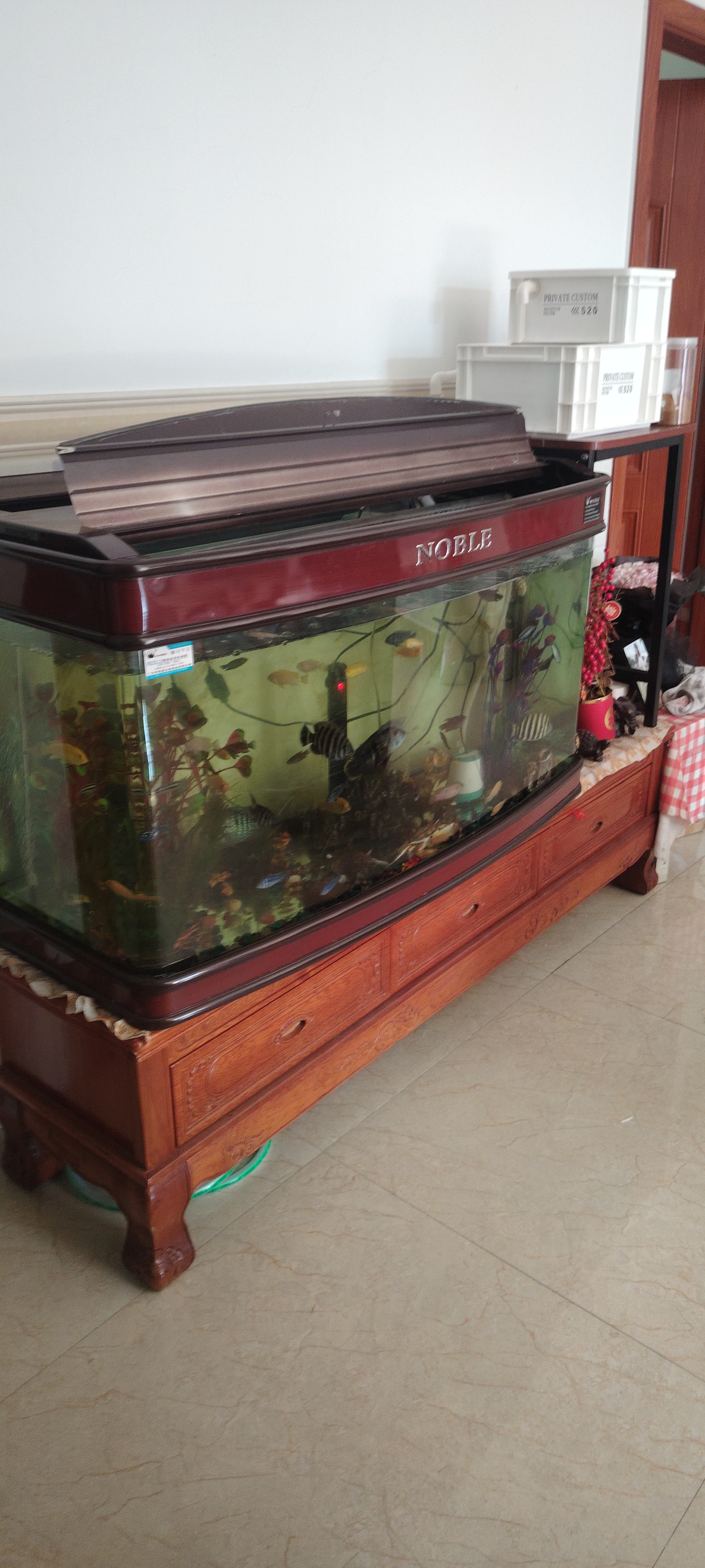 一米二鱼竿，养鱼快乐1