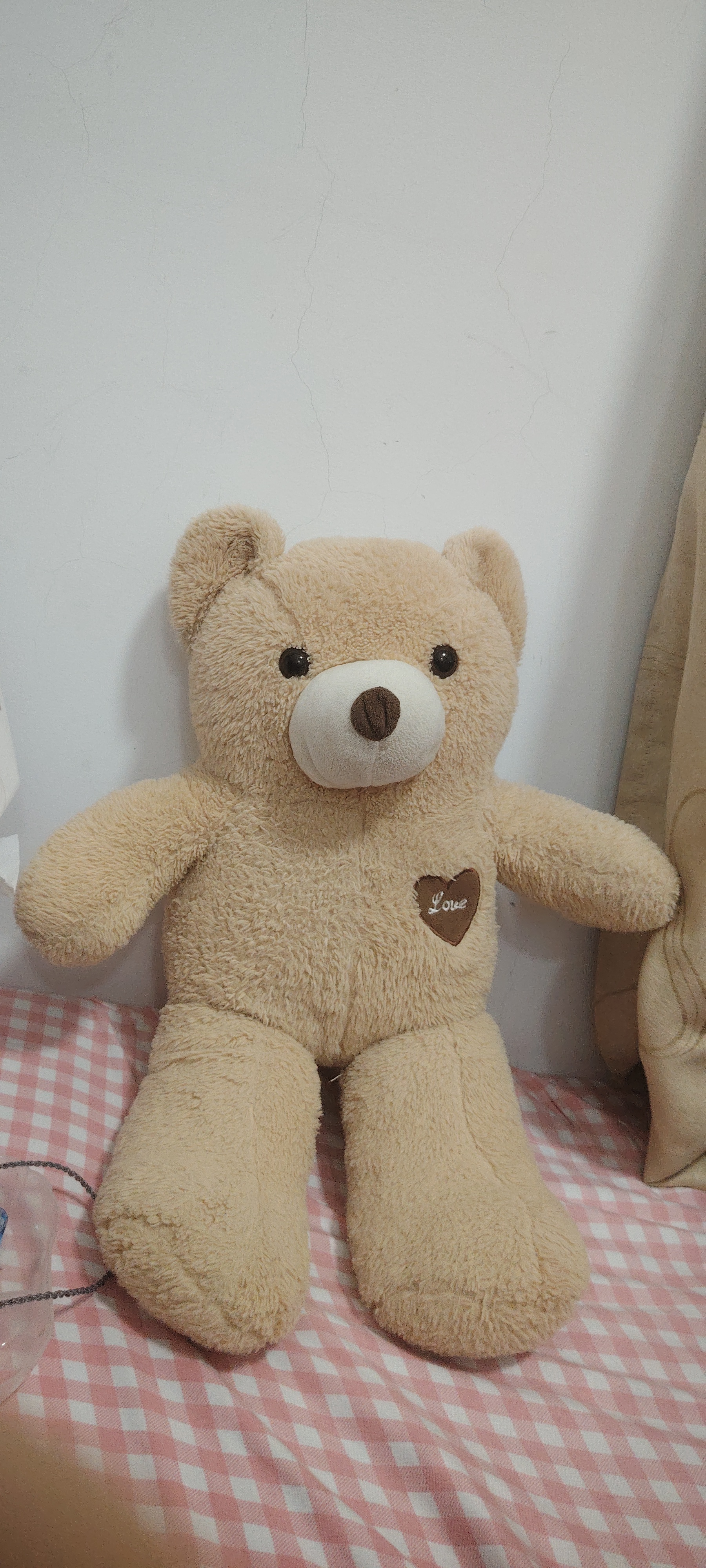 可爱的小布熊玩具1