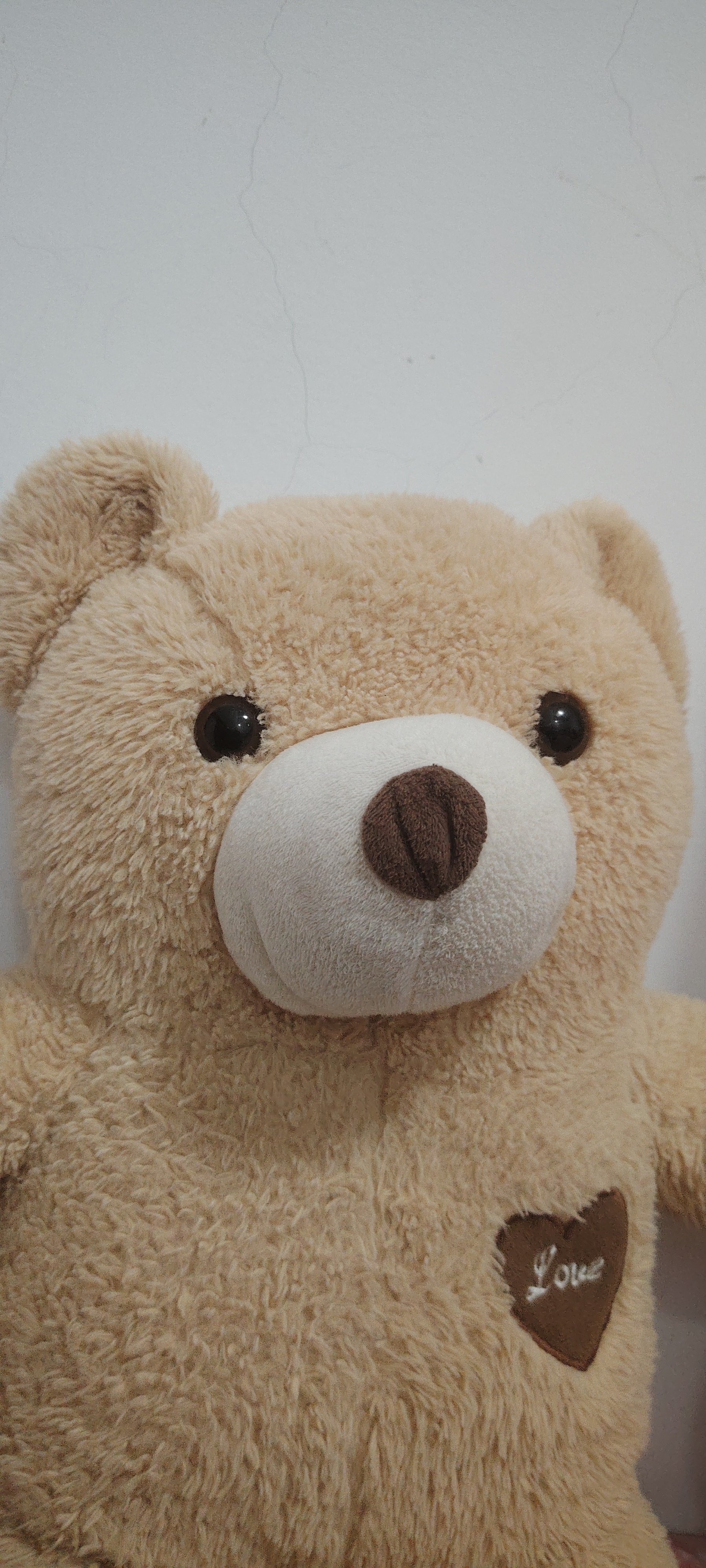 可爱的小布熊玩具0