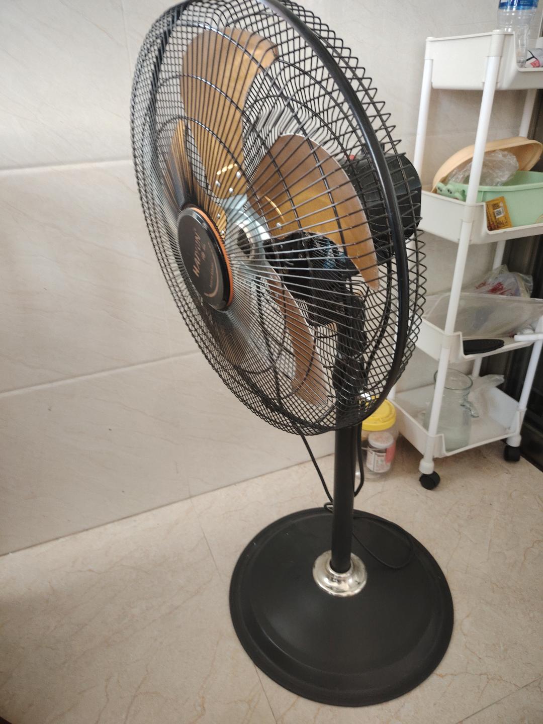 质量不错的电风扇1